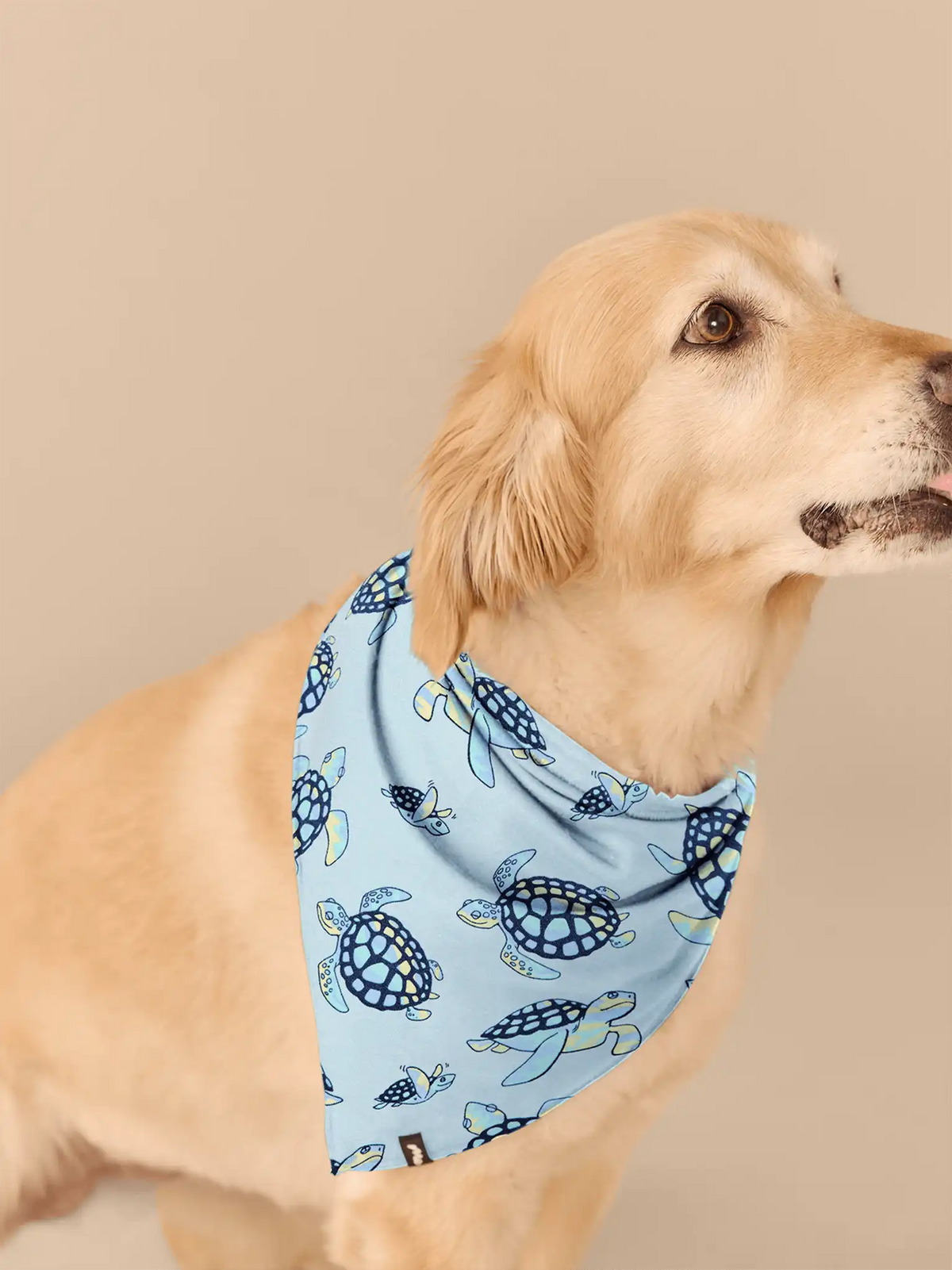 UltraModal™ BuddyBands™ | Psycheshellic